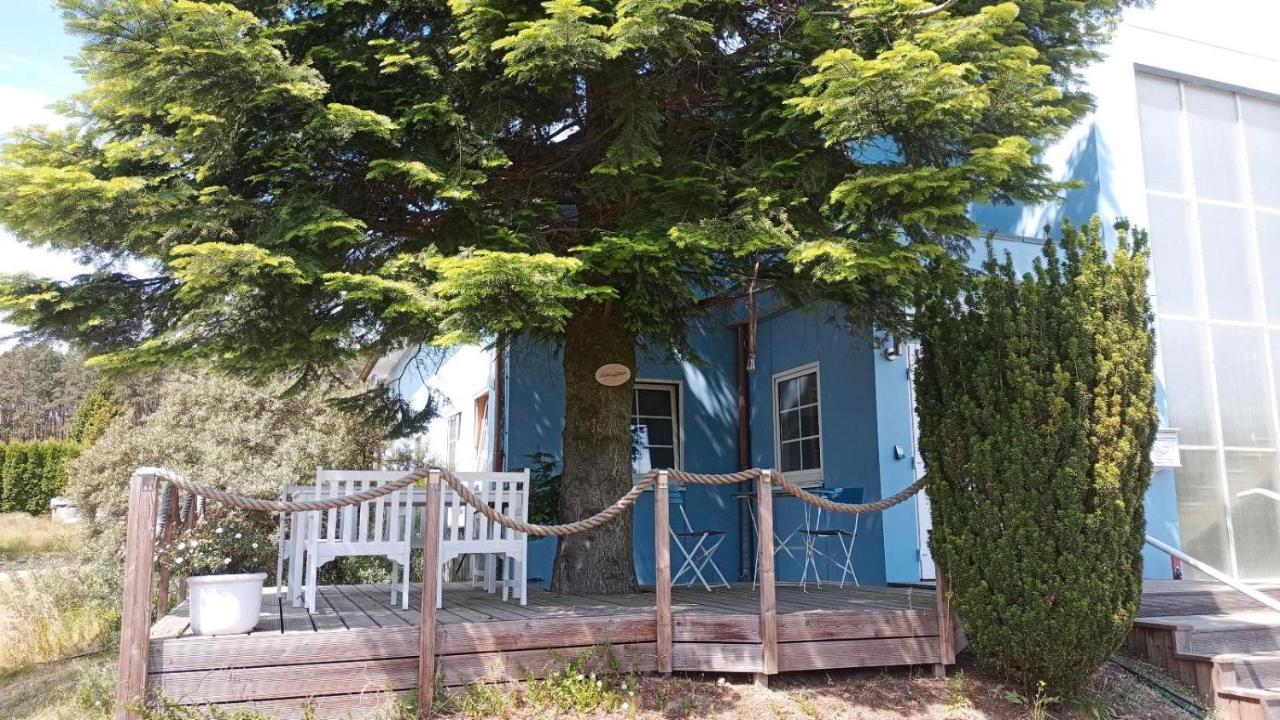 Ferienwohnung Naturparadies Gnitz Lutow Zewnętrze zdjęcie